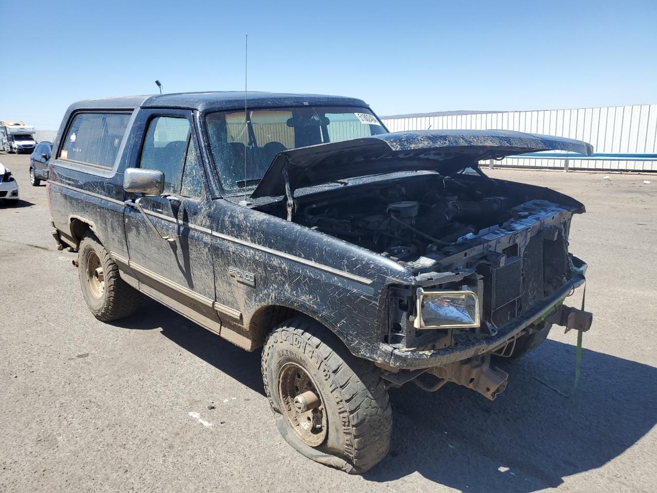 1996 Ford Bronco U100 VIN: 1FMEU15H6TLB18163 Lot: 51802494