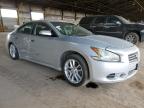 2011 Nissan Maxima S на продаже в Phoenix, AZ - Side