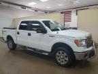 2010 Ford F150 Supercrew for Sale in Davison, MI - Front End