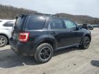 2011 Ford Escape Xlt იყიდება Ellwood City-ში, PA - Front End