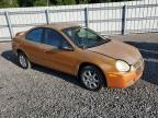 2005 Dodge Neon Sxt for Sale in Riverview, FL - Front End
