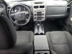 2009 Ford Escape Xlt for Sale in Chicago Heights, IL - Front End