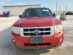 2010 Ford Escape Xlt for Sale in Haslet, TX - Rear End