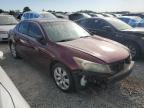 2009 Honda Accord Exl zu verkaufen in Lumberton, NC - Front End