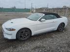 2018 Ford Mustang  na sprzedaż w Homestead, FL - Minor Dent/Scratches