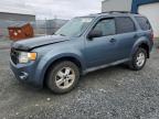 2010 FORD ESCAPE XLT for sale at Copart NS - HALIFAX