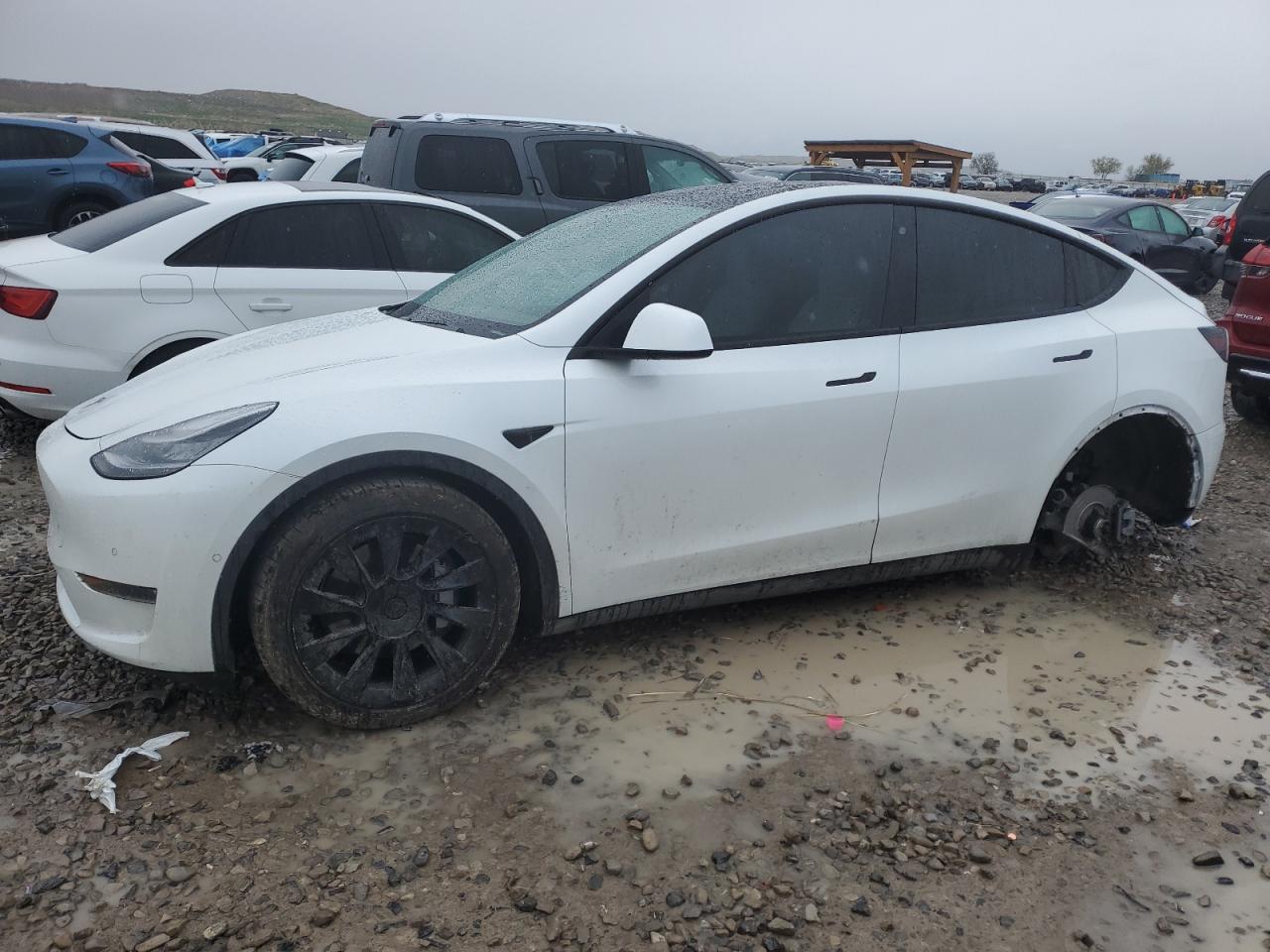 2020 Tesla Model Y