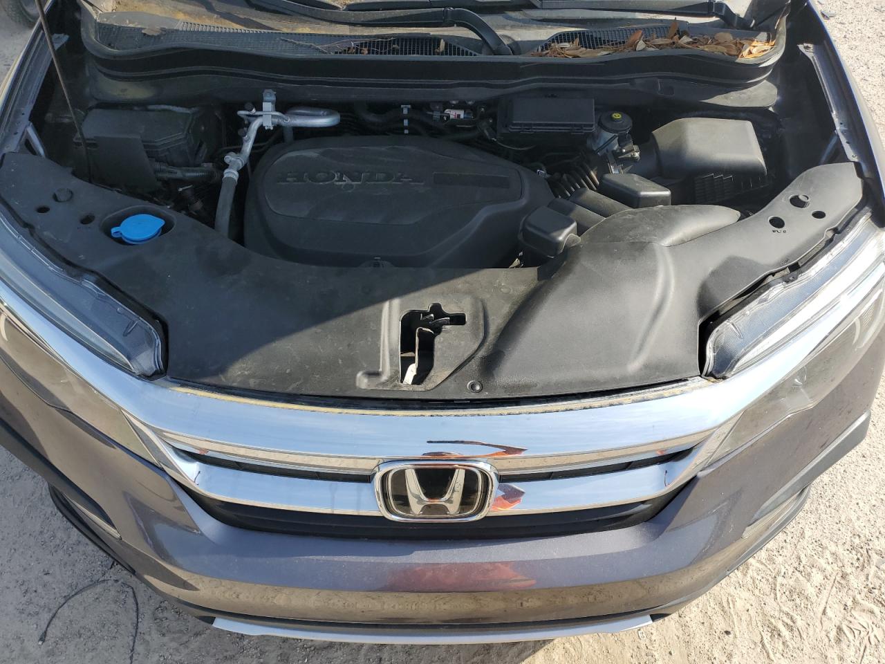 5FNYF5H53MB038148 HONDA PILOT 2021