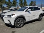 2019 Lexus Nx 300 Base for Sale in Rancho Cucamonga, CA - Rear End