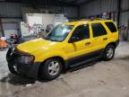2003 Ford Escape Xls на продаже в Rogersville, MO - Front End