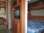 2013 Foresriver Surveyor for Sale in Bowmanville, ON - Top/Roof