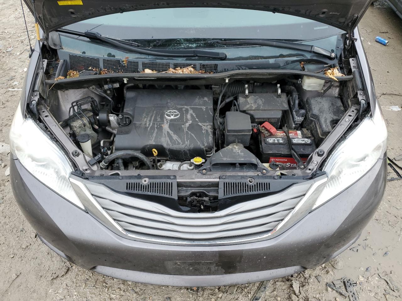 2013 Toyota Sienna Xle VIN: 5TDYK3DC8DS307826 Lot: 53960435
