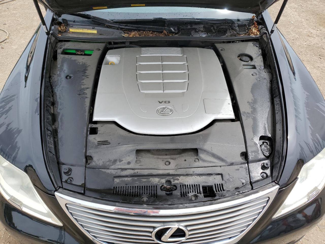 2009 Lexus Ls 460 VIN: JTHCL46F195002703 Lot: 54679515
