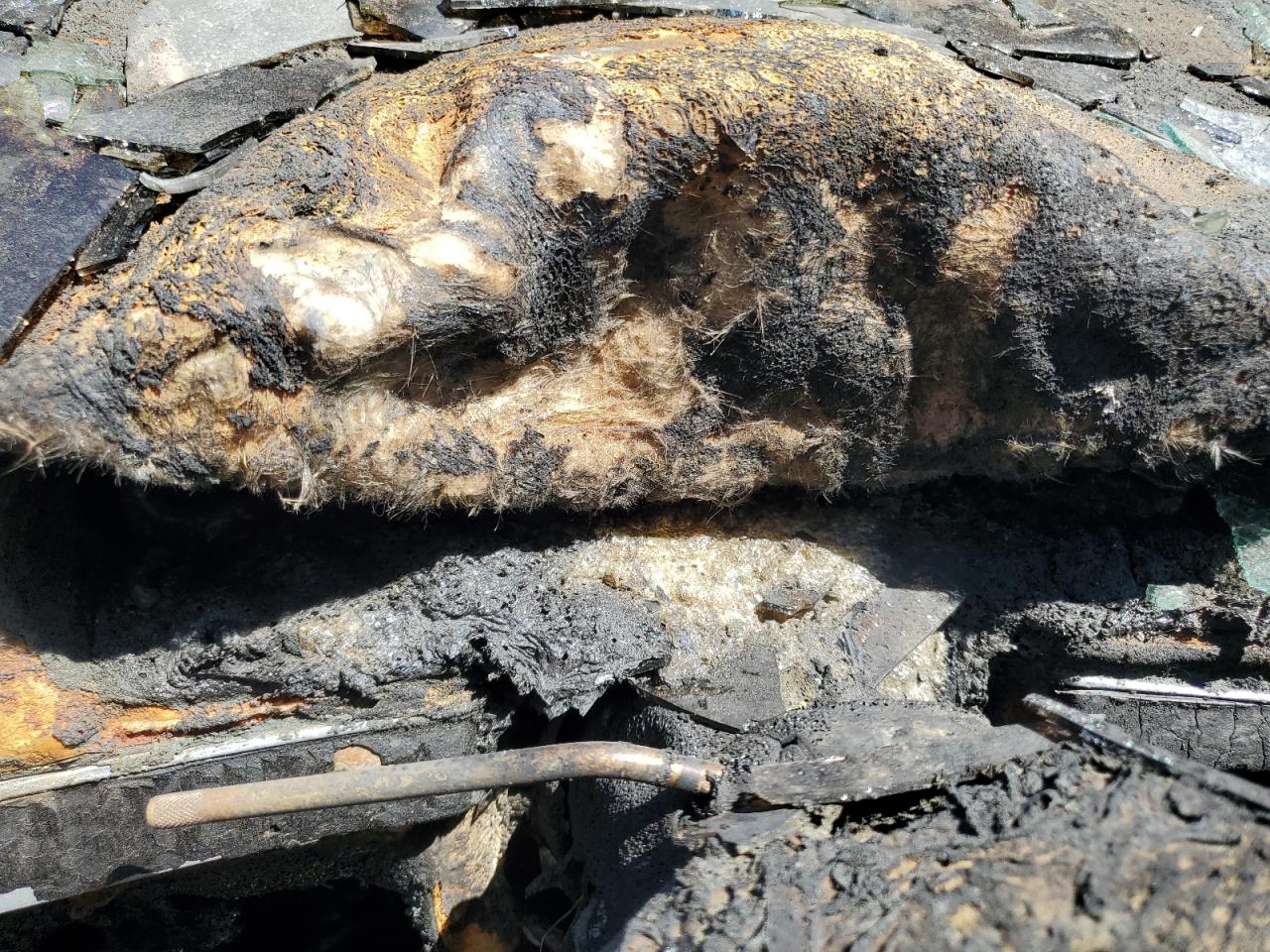 WDBUF56X27B063518 2007 Mercedes-Benz E 350