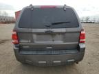 2012 Ford Escape Xlt for Sale in London, ON - Side