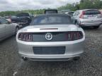 2014 Ford Mustang  for Sale in Spartanburg, SC - Front End