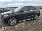 2013 Mercedes-Benz Ml 350 4Matic للبيع في Earlington، KY - Hail