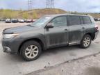 2013 Toyota Highlander Base de vânzare în Littleton, CO - Rear End