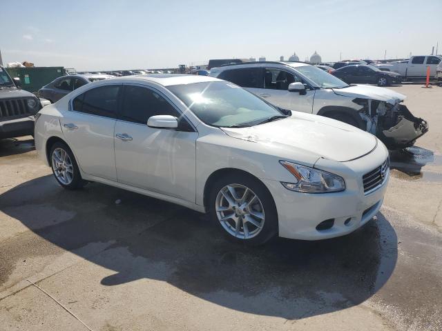  NISSAN MAXIMA 2013 Білий