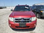 2009 Ford Escape Xlt იყიდება Cahokia Heights-ში, IL - Hail