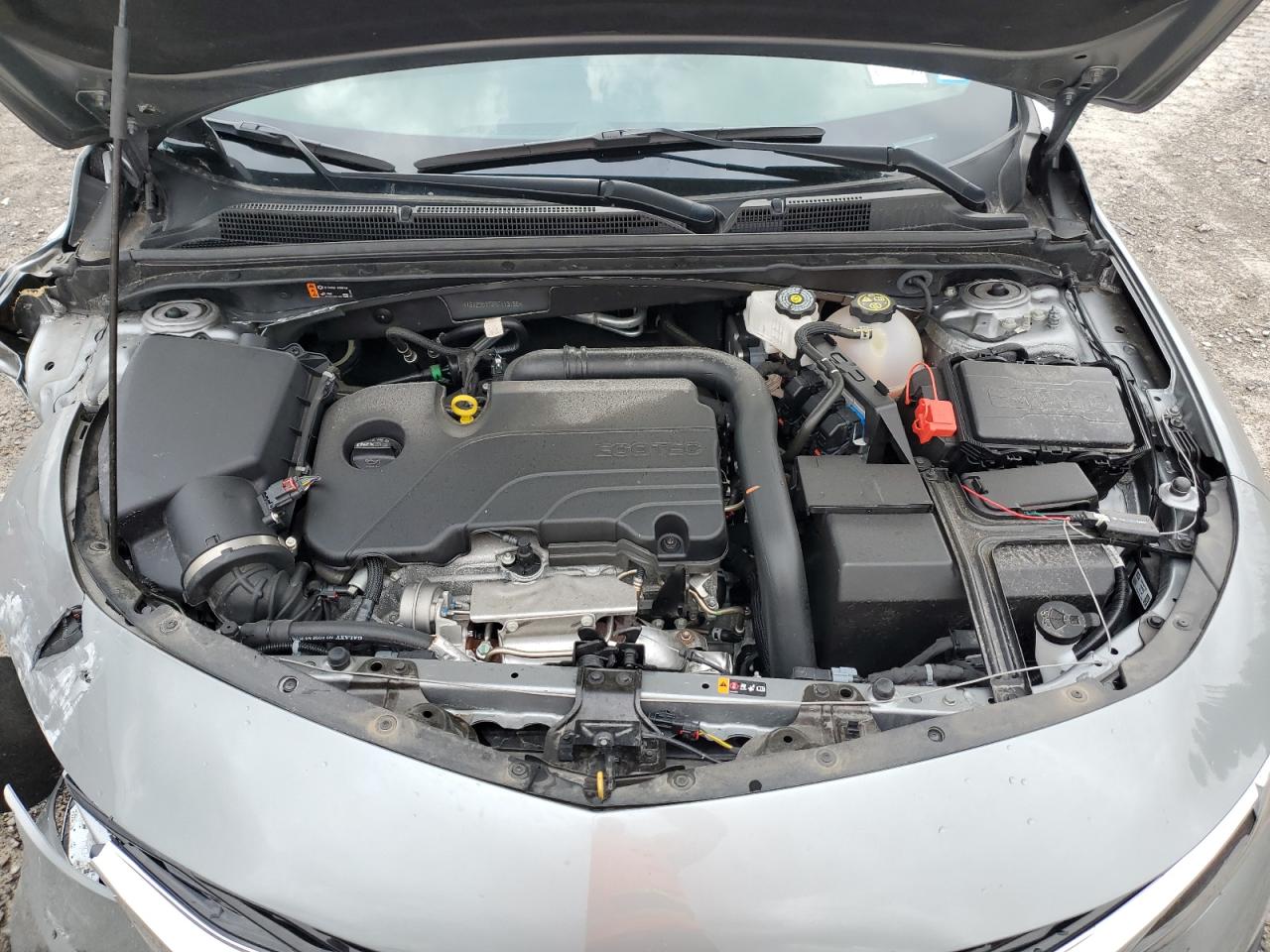 1G1ZD5ST3RF113198 CHEVROLET MALIBU 2024