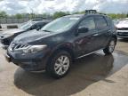 2014 Nissan Murano S продається в Louisville, KY - Hail