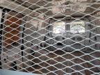 1996 Ford Econoline E250 Van for Sale in Austell, GA - Front End