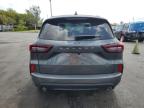 2024 Ford Escape St Line for Sale in Miami, FL - Front End