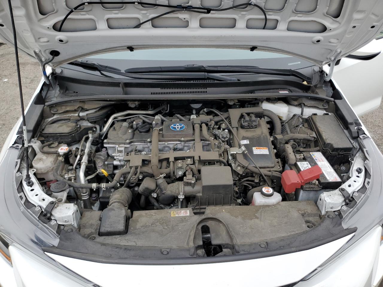 2022 Toyota Corolla Le VIN: JTDEAMDE4N3012304 Lot: 54435525