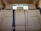 Riverview, FL에서 판매 중인 2025 Lexus Nx 250 Premium   - Rear End