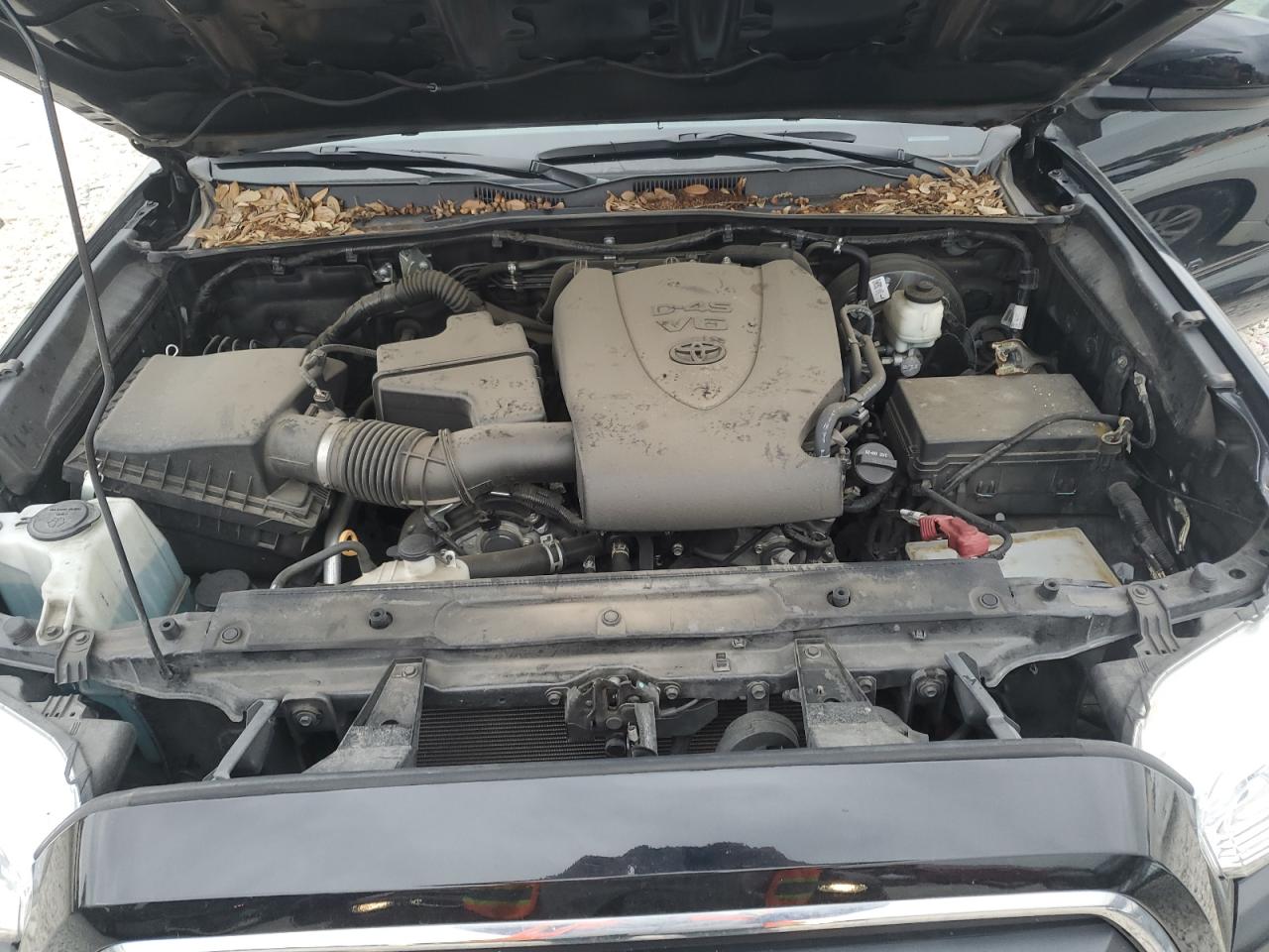 5TFAZ5CN4MX104194 TOYOTA TACOMA 2021