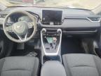 2024 TOYOTA RAV4 XLE for sale at Copart NS - HALIFAX