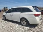 2014 Honda Odyssey Exl zu verkaufen in Chicago Heights, IL - Front End