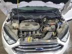 2019 Ford Ecosport Titanium en Venta en Ham Lake, MN - Rear End