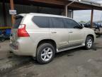 2010 Lexus Gx 460 Premium na sprzedaż w Denver, CO - Front End