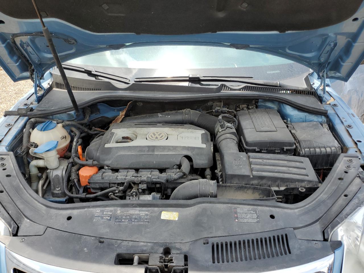 2009 Volkswagen Eos Lux VIN: WVWFA71F89V018474 Lot: 55139285