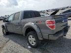 2010 Ford F150 Supercrew продається в Earlington, KY - Hail