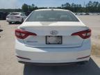 2017 Hyundai Sonata Se for Sale in Harleyville, SC - Minor Dent/Scratches