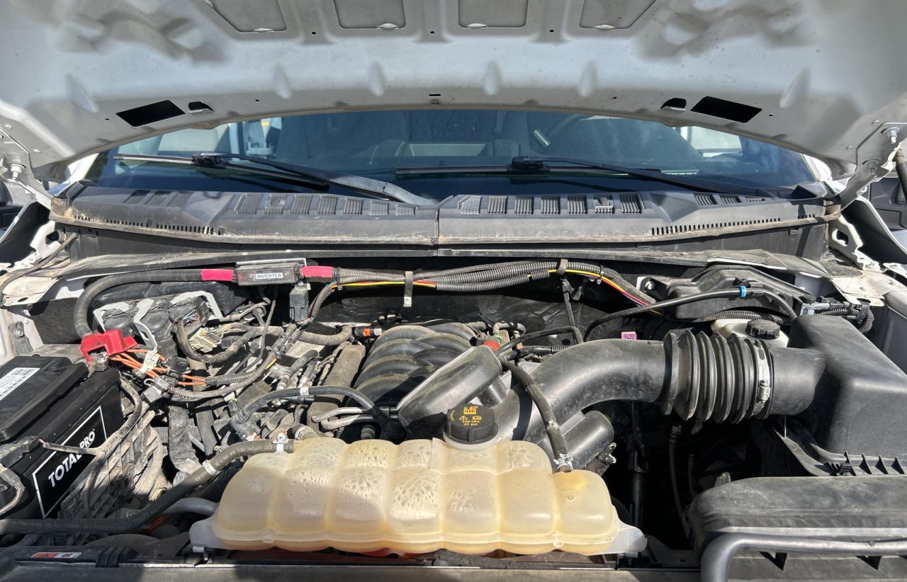 1FTFX1E51KFA21374 FORD F-150 2019