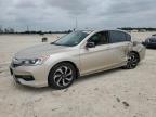 2016 Honda Accord Exl   იყიდება New Braunfels-ში, TX - Side
