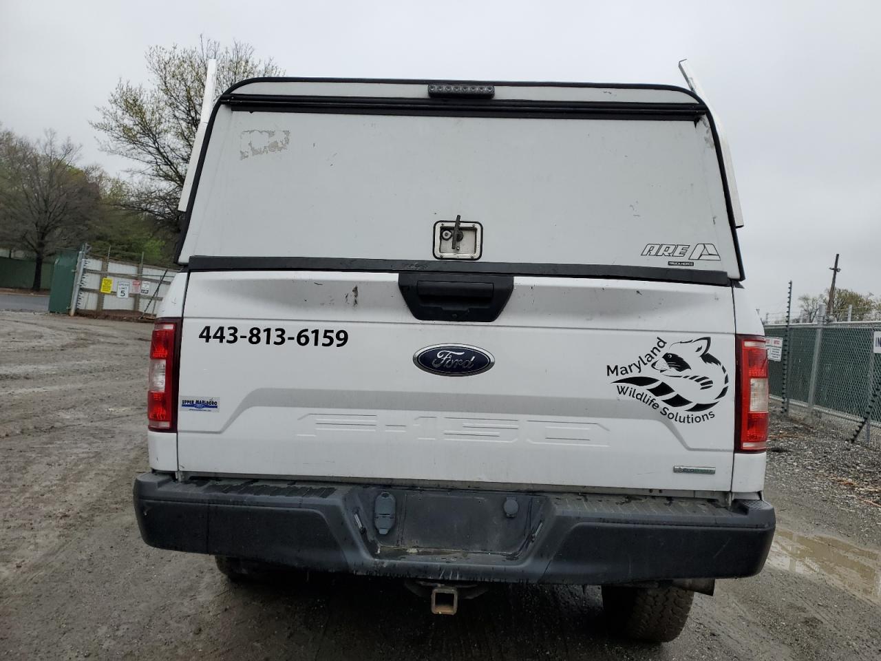 2019 Ford F150 VIN: 1FTMF1CP0KKF11018 Lot: 51950135