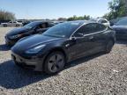 2020 Tesla Model 3  for Sale in Riverview, FL - Rear End