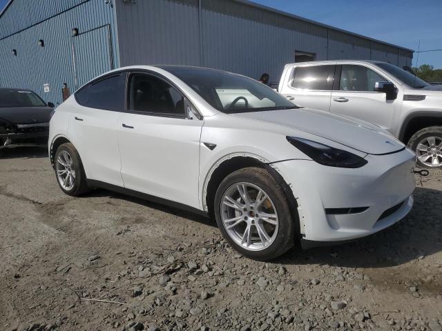  TESLA MODEL Y 2023 Biały
