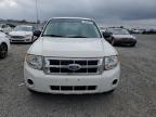 2011 Ford Escape Xls for Sale in Earlington, KY - Hail