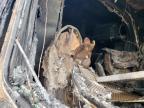 2017 Peterbilt 579 Semi Truck zu verkaufen in Grand Prairie, TX - Burn - Engine