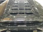2024 Lamborghini Huracan Evo for Sale in Marlboro, NY - All Over