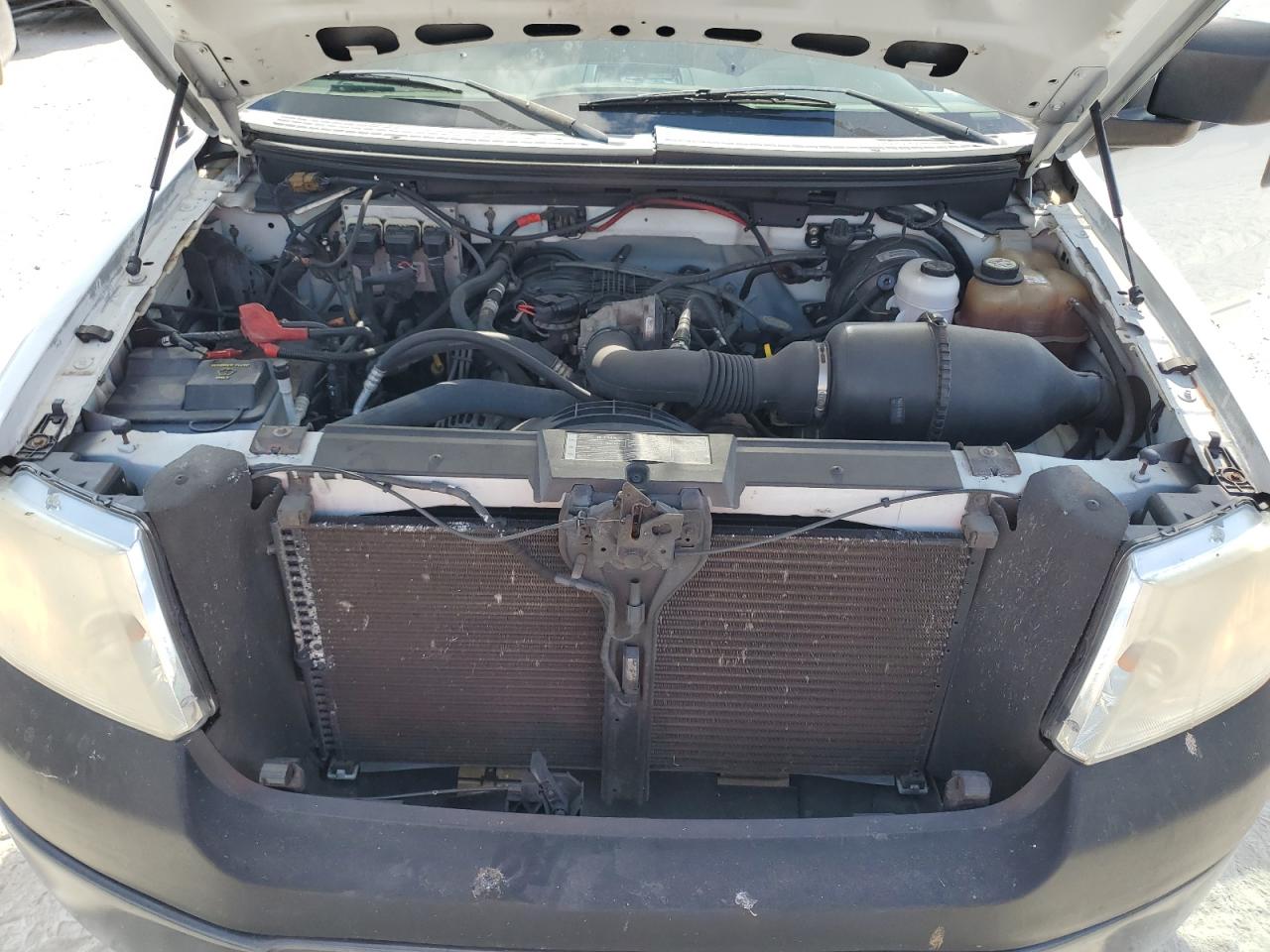 2008 Ford F150 VIN: 1FTRF12248KC11096 Lot: 53727445