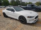 2023 Ford Mustang  for Sale in Eight Mile, AL - Rear End