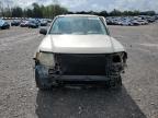 2010 Ford Escape Xlt for Sale in Madisonville, TN - All Over