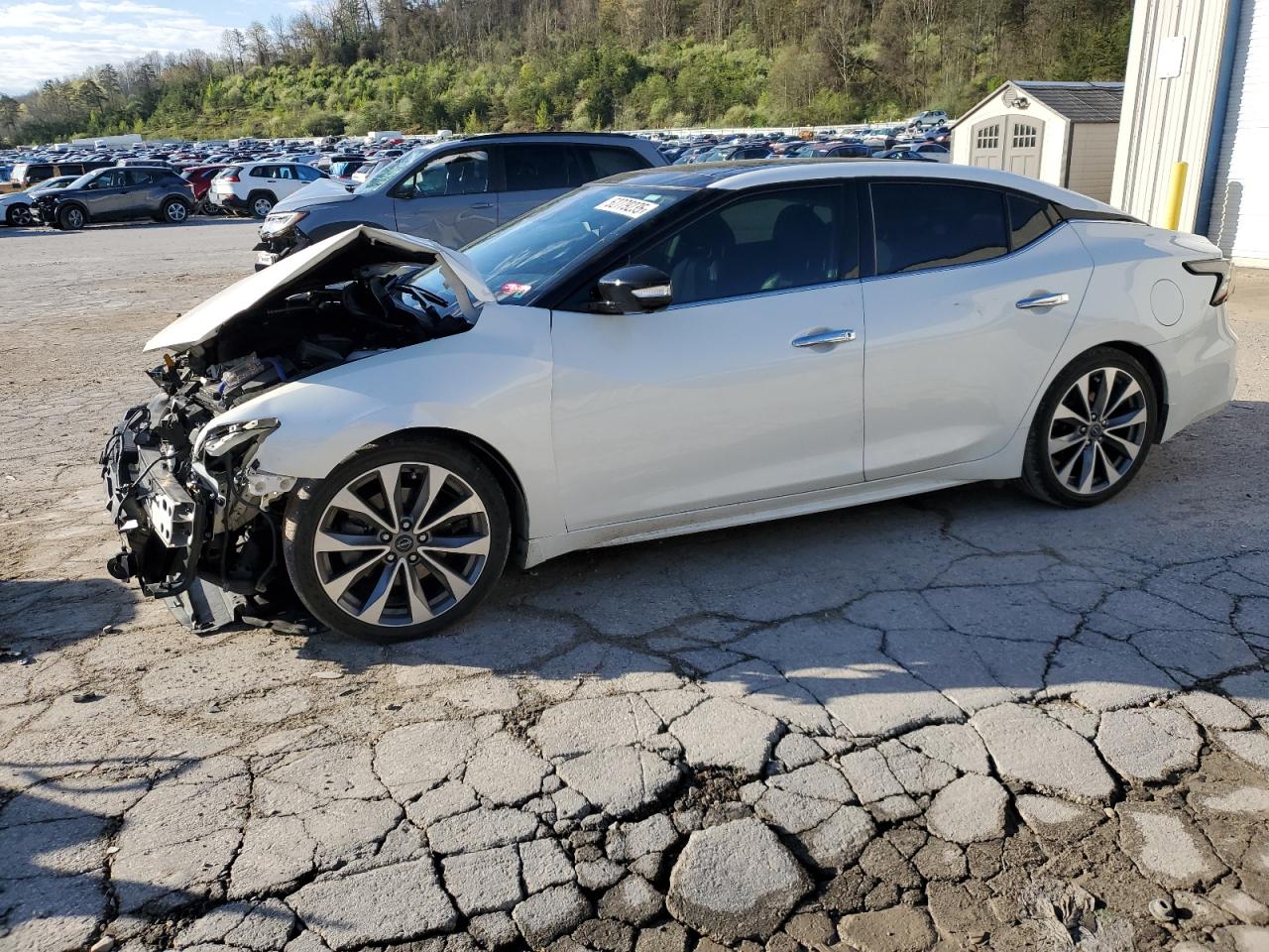 2023 Nissan Maxima Platinum na sprzedaż w Hurricane, WV - Front End